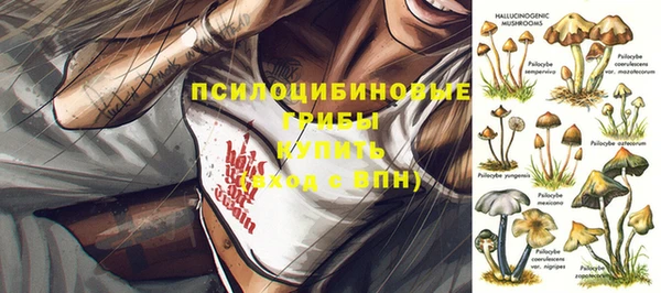 круглые Бородино