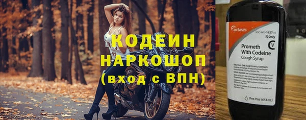 PSILOCYBIN Богданович