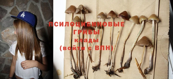 круглые Бородино