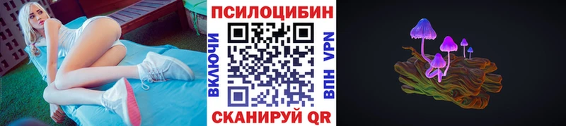магазин наркотиков Городовиковск Псилоцибиновые грибы ЛСД